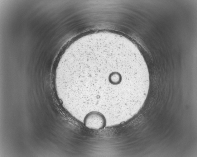 X0000056380832200509232222