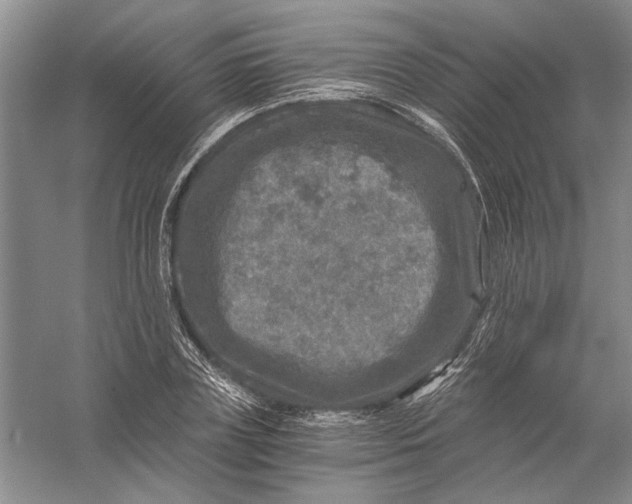 X0000056380835200509232222