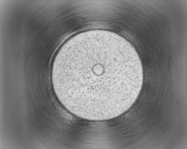 X0000056380836200509232222