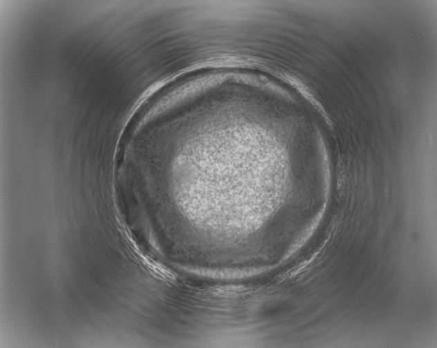 X0000056380837200509232222