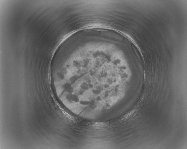 X0000056380839200509232222