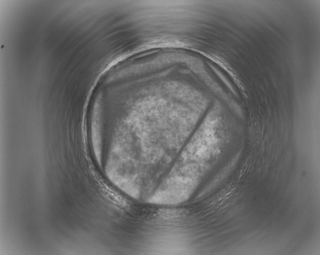 X0000056380840200509232222