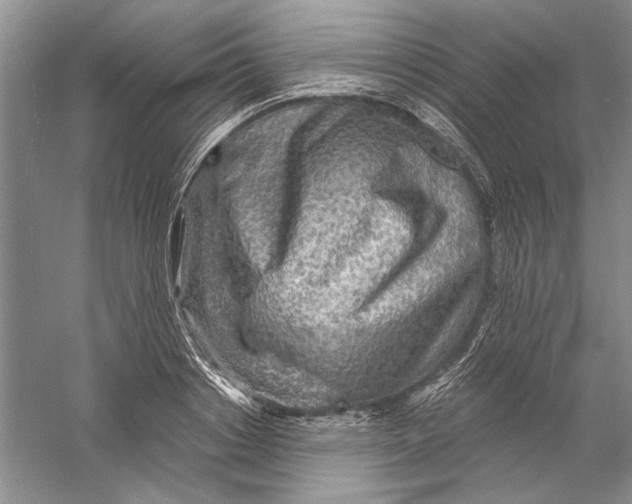 X0000056380842200509232222