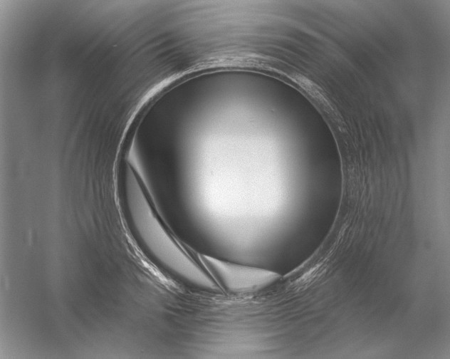 X0000056380846200509232222