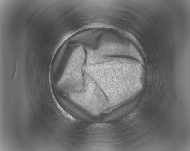 X0000056380847200509232222