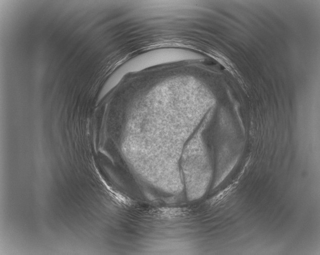 X0000056380849200509232223