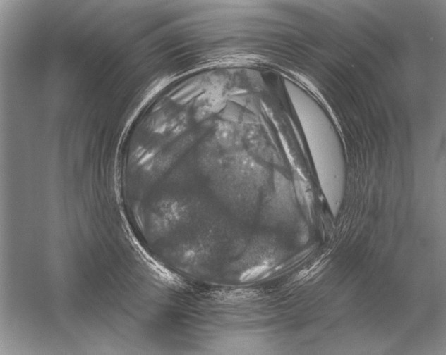 X0000056380851200509232223