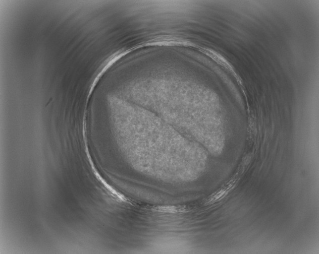 X0000056380855200509232223