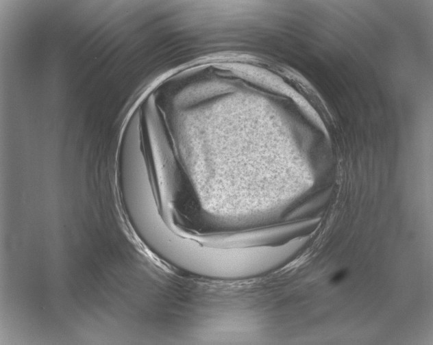 X0000056380860200509232223