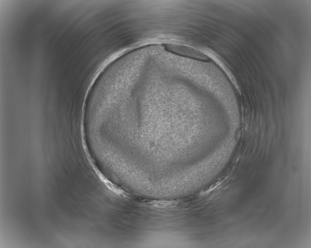 X0000056380861200509232223