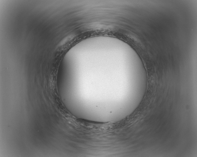 X0000056380869200509232222