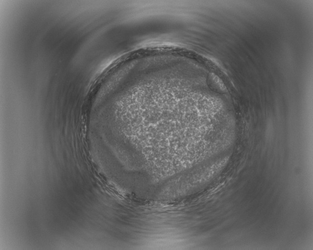 X0000056380871200509232222