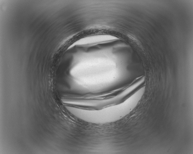 X0000056380872200509232222