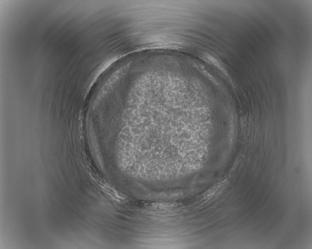 X0000056380875200509232222