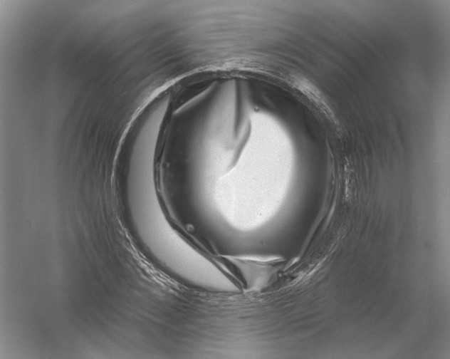 X0000056380876200509232222