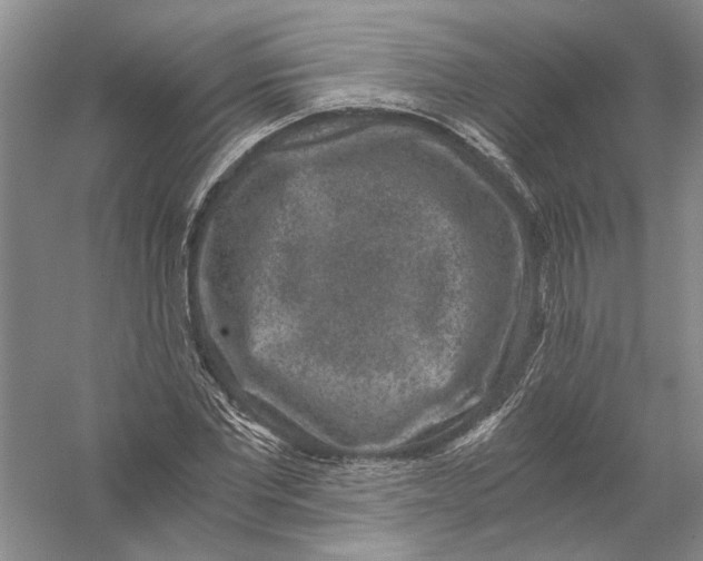 X0000056380877200509232222