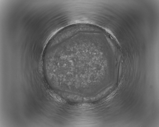 X0000056380879200509232222