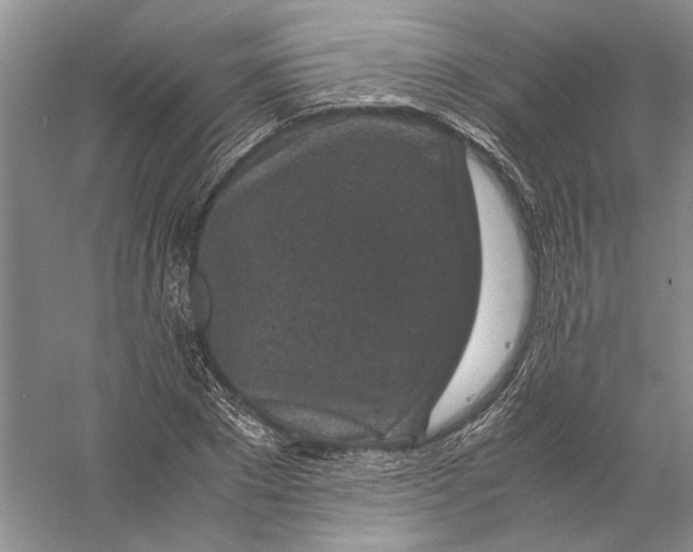 X0000056380881200509232222