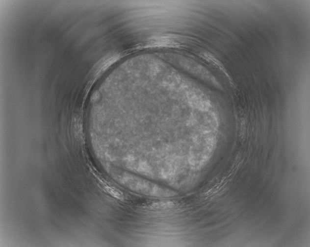 X0000056380882200509232222