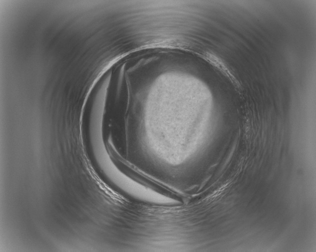 X0000056380884200509232222