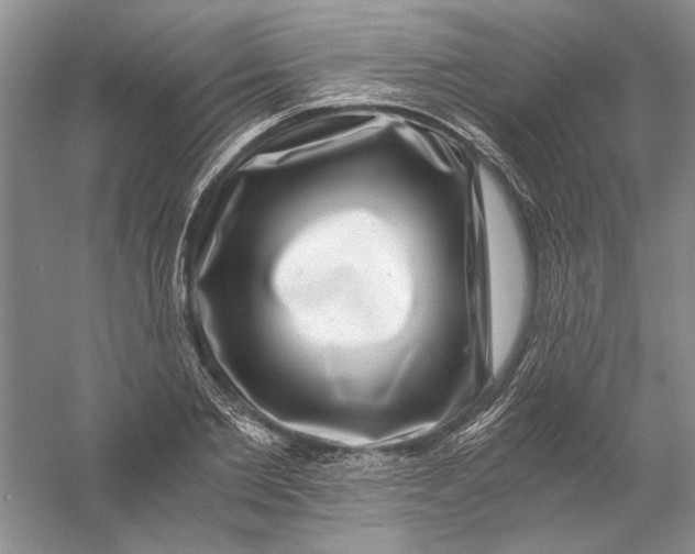 X0000056380885200509232222