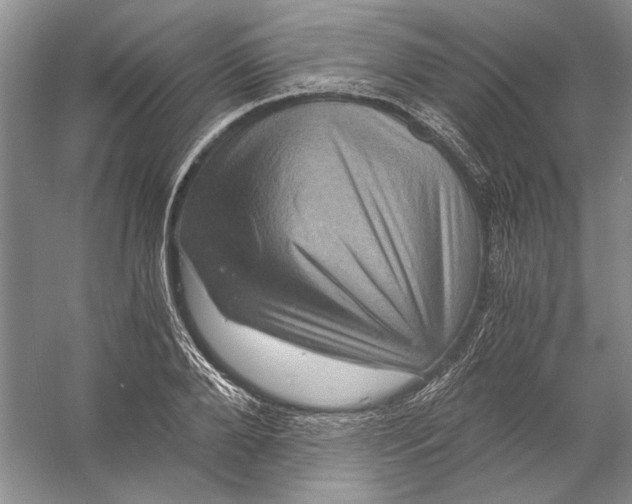 X0000056380888200509232222