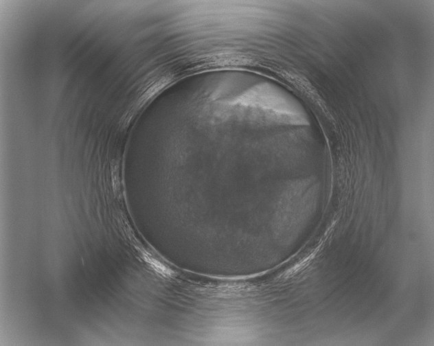 X0000056380889200509232222