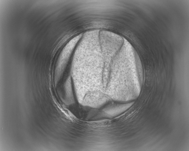 X0000056380890200509232222