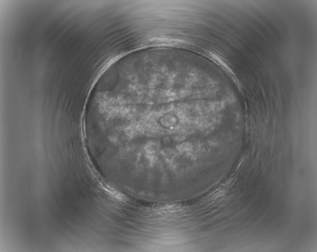 X0000056380891200509232222