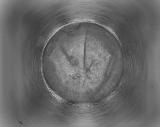 X0000056380895200509232221