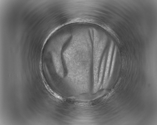 X0000056380896200509232221