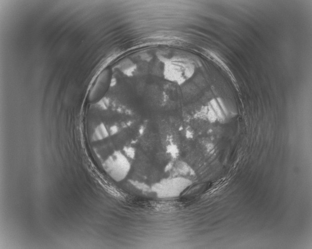 X0000056380899200509232221