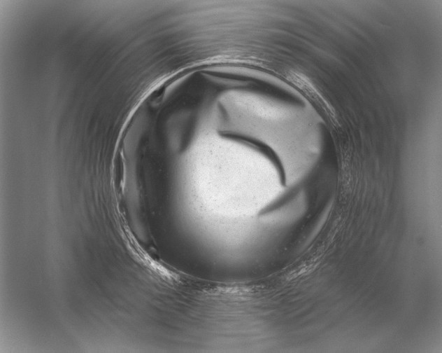 X0000056380900200509232221