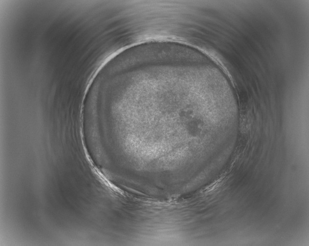 X0000056380903200509232221