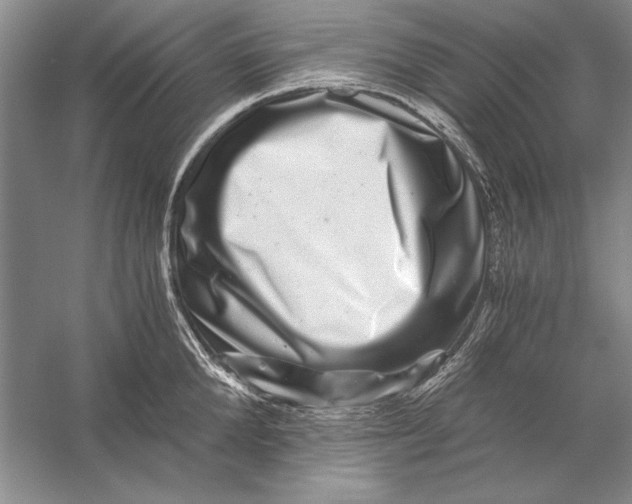 X0000056380904200509232221