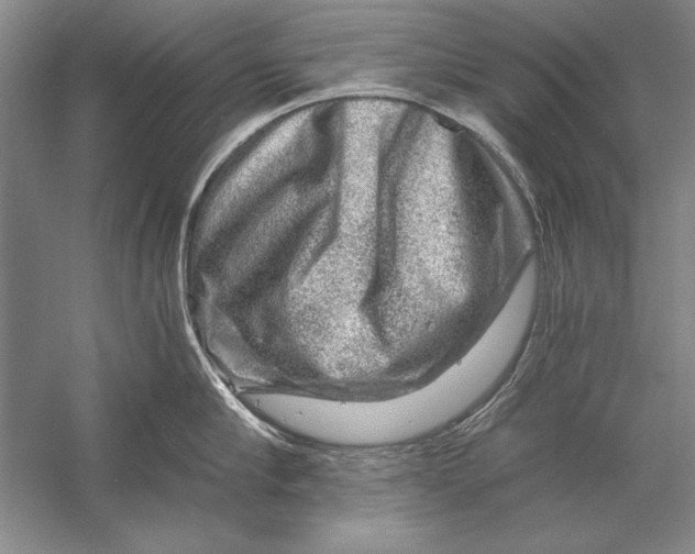 X0000056380910200509232221