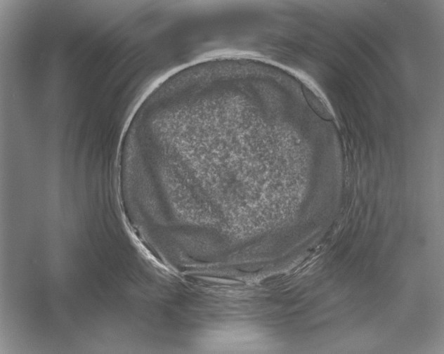 X0000056380911200509232221