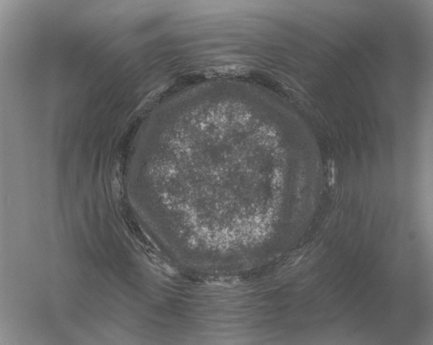 X0000056380915200509232220