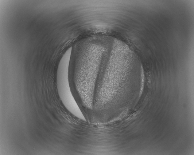 X0000056380916200509232220