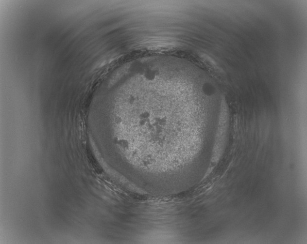 X0000056380917200509232220