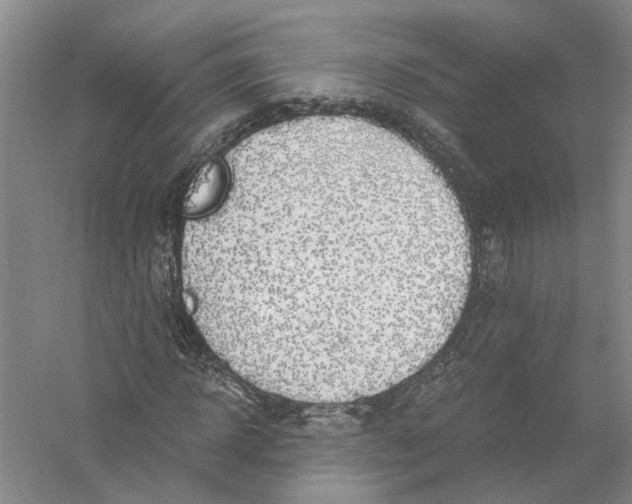 X0000056380918200509232220