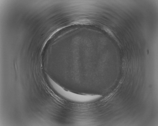 X0000056380923200509232220