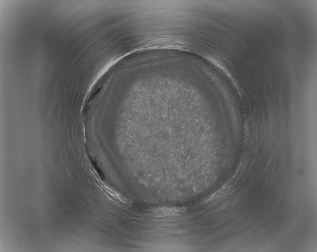 X0000056380925200509232221