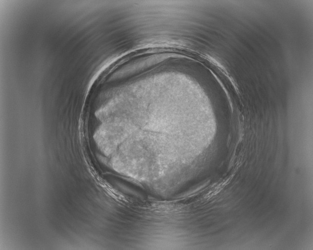 X0000056380928200509232221