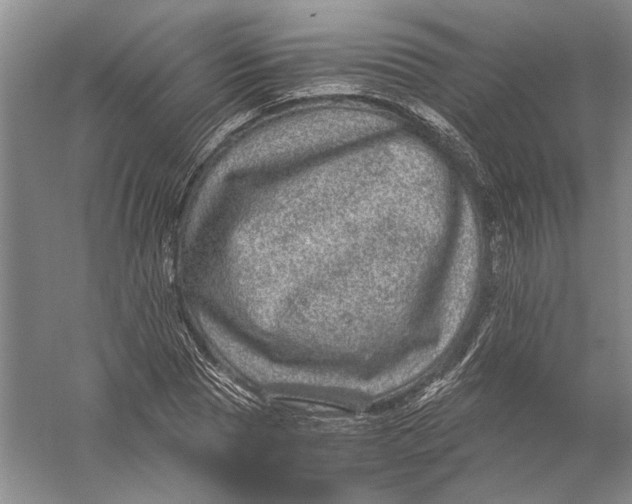 X0000056380929200509232221