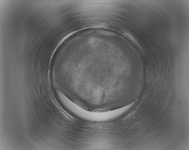 X0000056380932200509232221