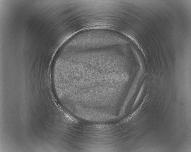 X0000056380933200509232221