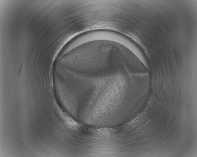 X0000056380934200509232221