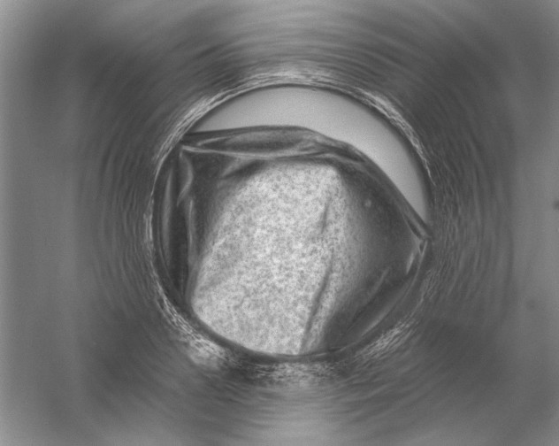 X0000056380938200509232221