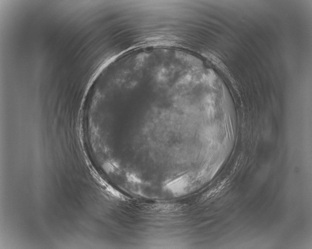 X0000056380941200509232221